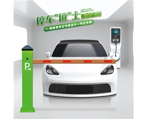 长岛RG-CW系列车位小道闸